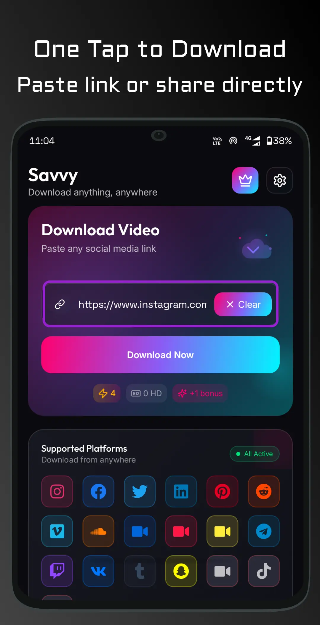 Savvy — an Instagram link pasted into the download field with a Download Now button